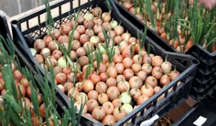 20 интересных идей применения пластиковых ящиков для дома / сада / огорода