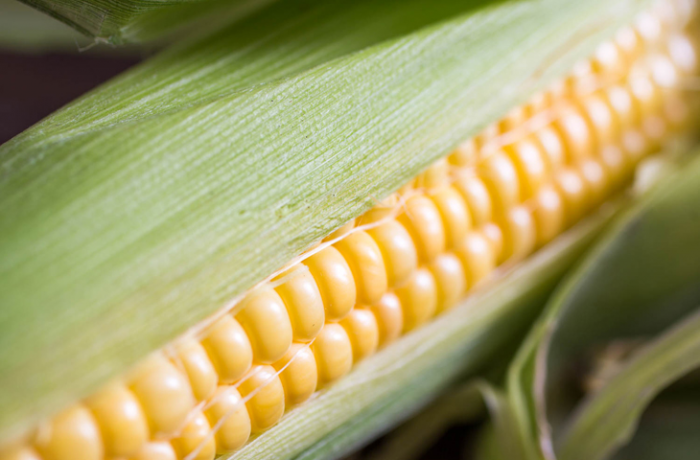 Минутные блюда из микроволновки: запекли картофель вкуснее чем в духовке