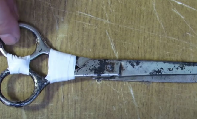 Бутылкорез для пластика: делаем из обычных ножниц