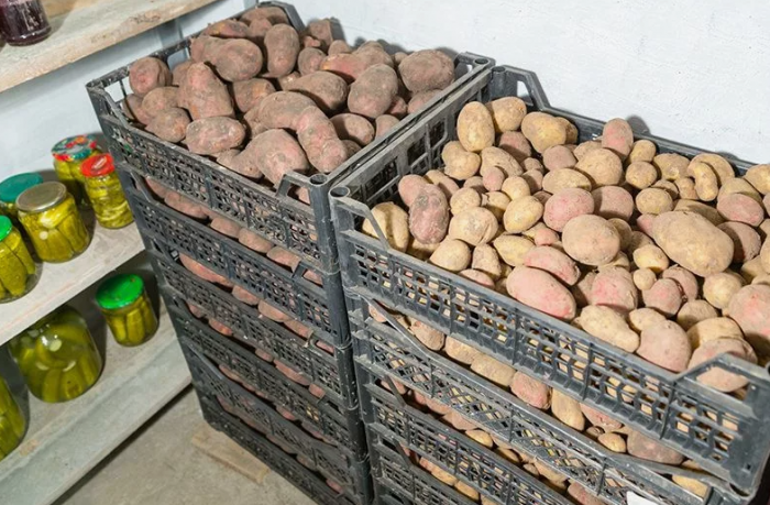 20 интересных идей применения пластиковых ящиков для дома / сада / огорода