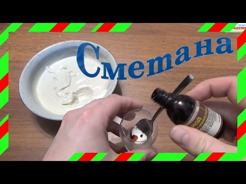 Как проверить качество сметаны дома: 4 простых теста