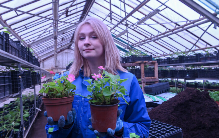 Виолы любят музыку и добрые слова