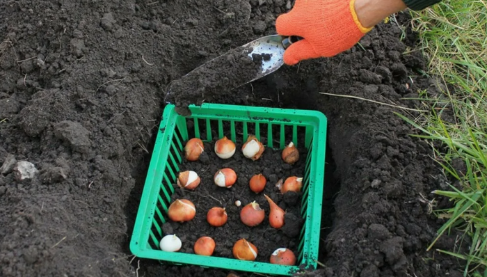 20 интересных идей применения пластиковых ящиков для дома / сада / огорода