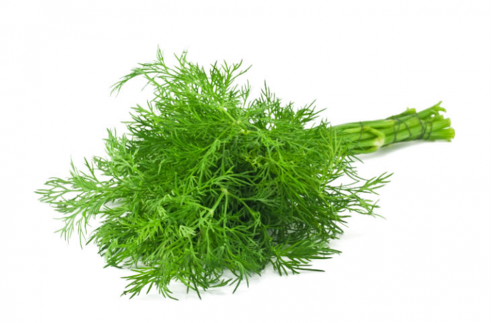 10 «секретных ингредиентов» шеф-поваров. Открываем новые возможности укропа и горчицы