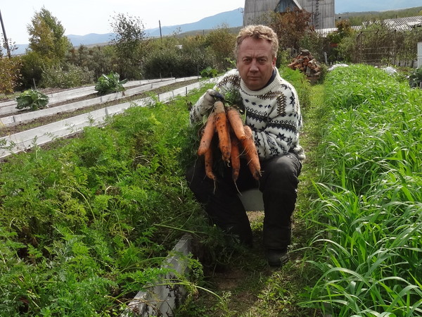 Узкие грядки. Секрет удивительного урожая Игоря Лядова