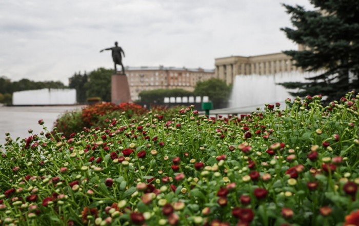 На Московской площади высадили хризантемы мультифлоры