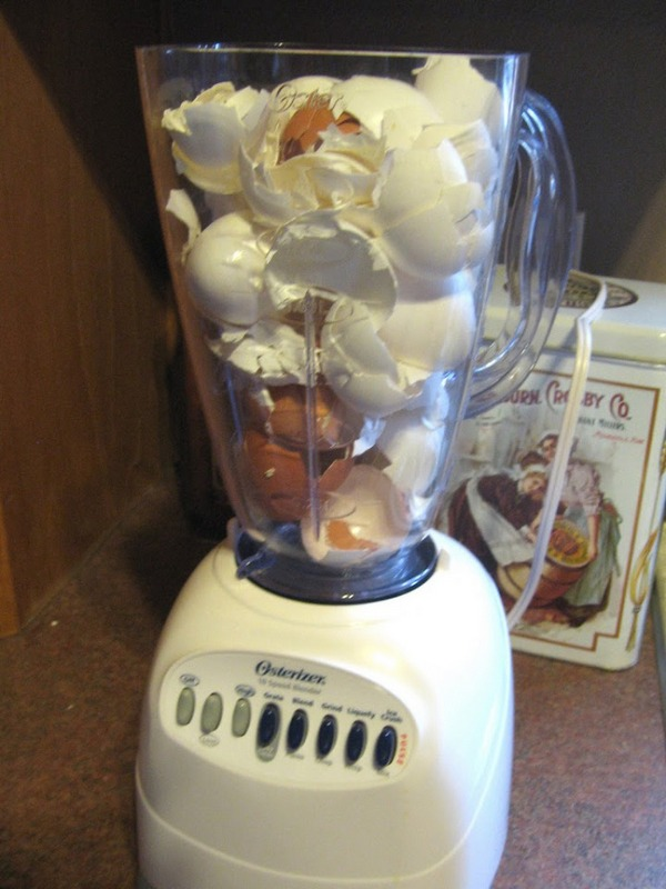 СОВЕТЫ ДЛЯ САДОВОДОВ И ОГОРОДНИКОВ