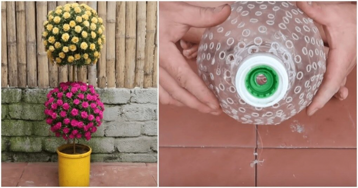 Креативное использование пластиковых бутылок для крутого живого декора