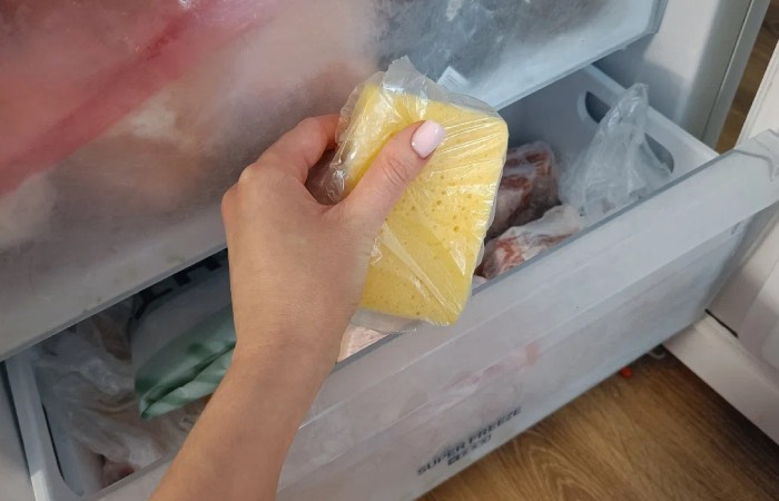 Удивительные свойства кухонной губки: для чего ее замораживать и разогревать в микроволновой печи