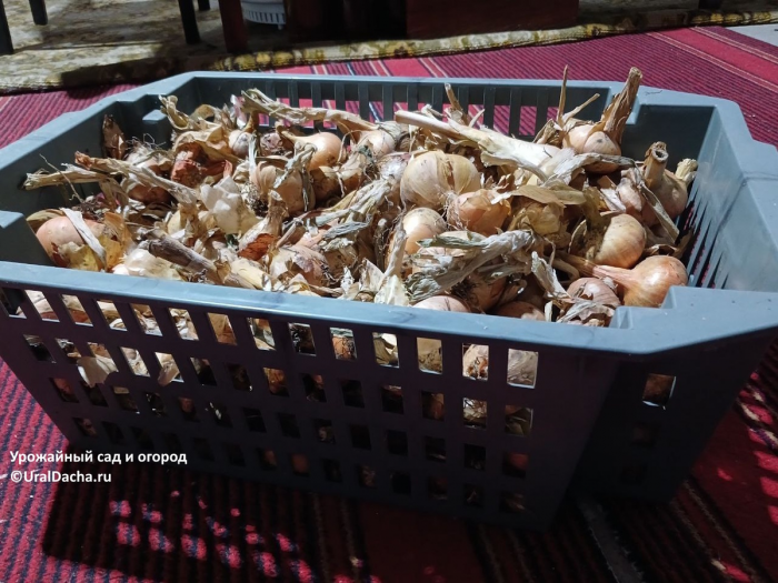 20 интересных идей применения пластиковых ящиков для дома / сада / огорода