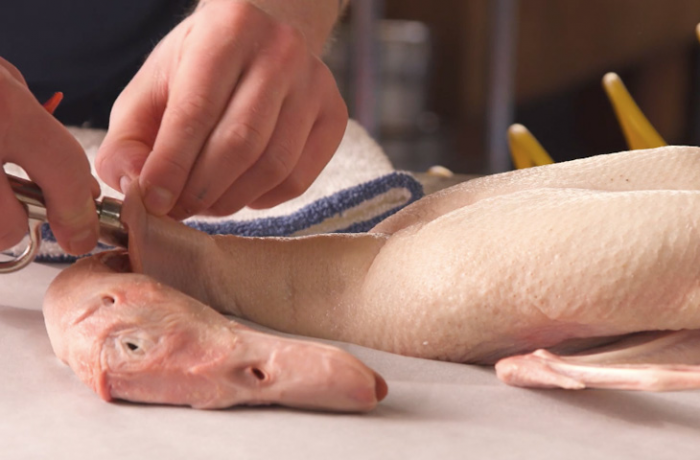 Пошаговая инструкция по приготовлению утки по-пекински