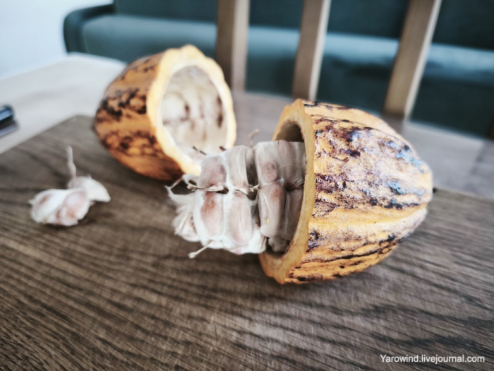 Домашний шоколад