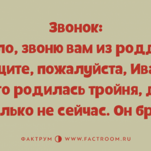 — Алло! Это связисты? — Да! — Тут у нас сосед буянит! Связать бы надо!