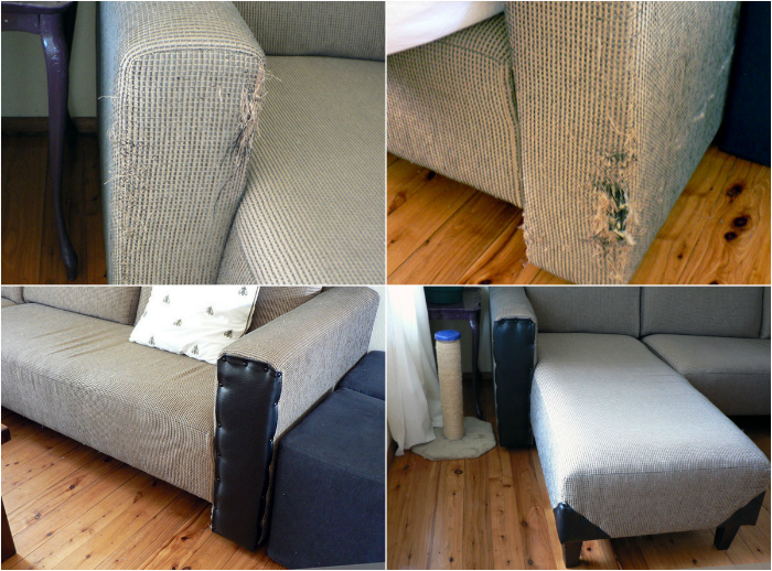 Шкодливый кот ободрал угол дивана, но хозяйка не растерялась и совершила чудо!