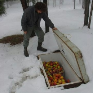 Полезности для дачи