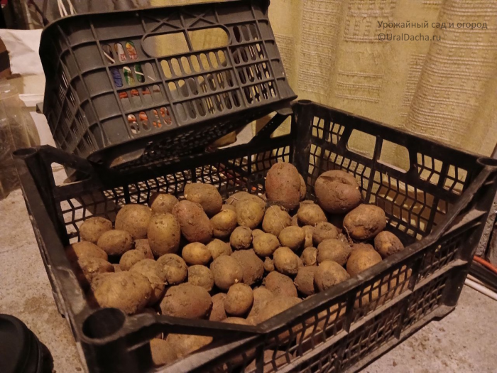 20 интересных идей применения пластиковых ящиков для дома / сада / огорода