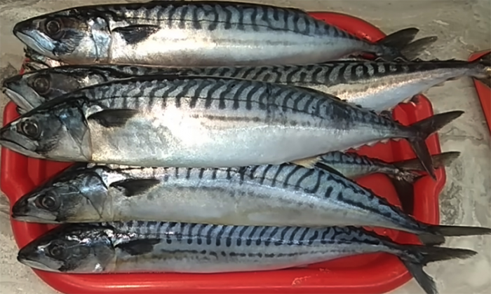 Янтарная скумбрия холодного копчения: простой и уникальный рецепт северных моряков