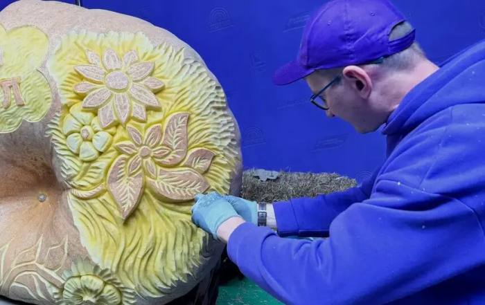 "Есть тыкву – это скучно": как гигантские плоды превращают в арт-объекты