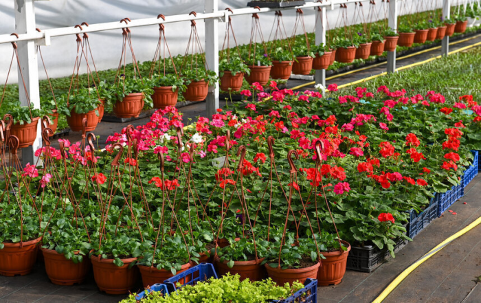 Domaho.ru - Все о доме