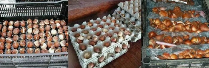 20 интересных идей применения пластиковых ящиков для дома / сада / огорода