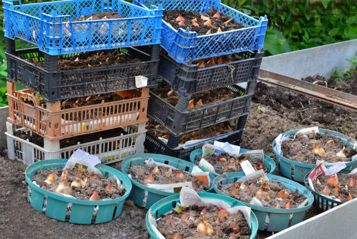 20 интересных идей применения пластиковых ящиков для дома / сада / огорода