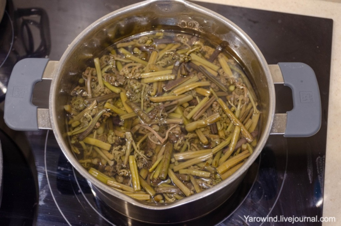 Папоротник со свининой