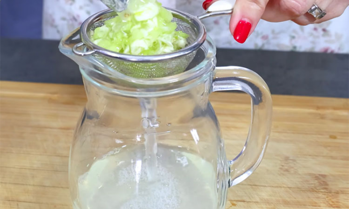 Натуральный спрей «Мечта огородника»: против тли и гусениц, без химикатов