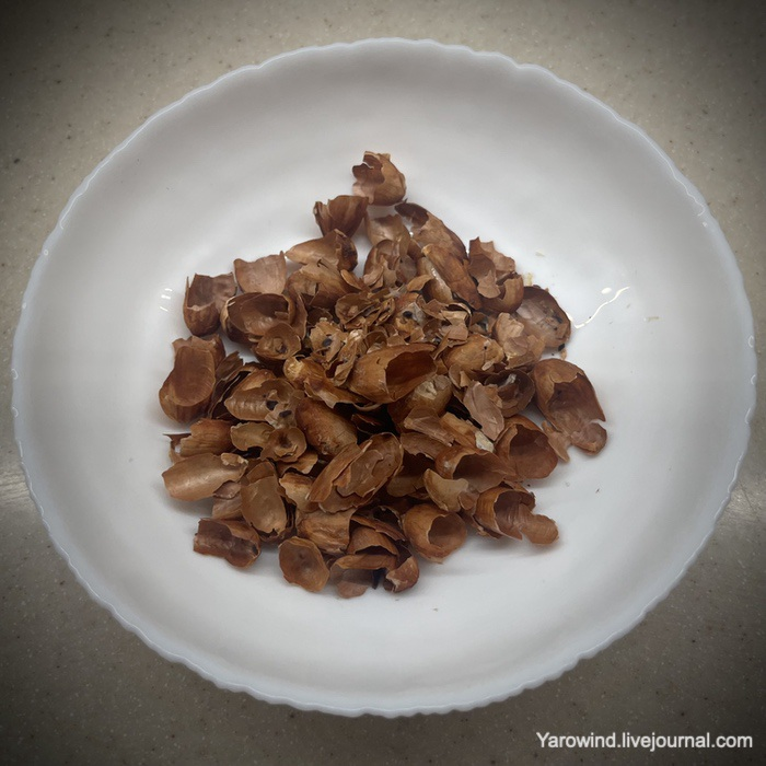 Домашний шоколад