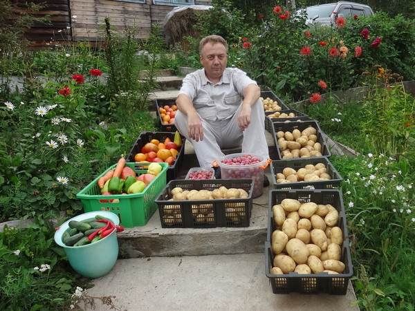 Узкие грядки. Секрет удивительного урожая Игоря Лядова