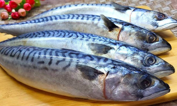 Золотистая скумбрия по-королевски: засол за сутки, будет вкуснее красной рыбы